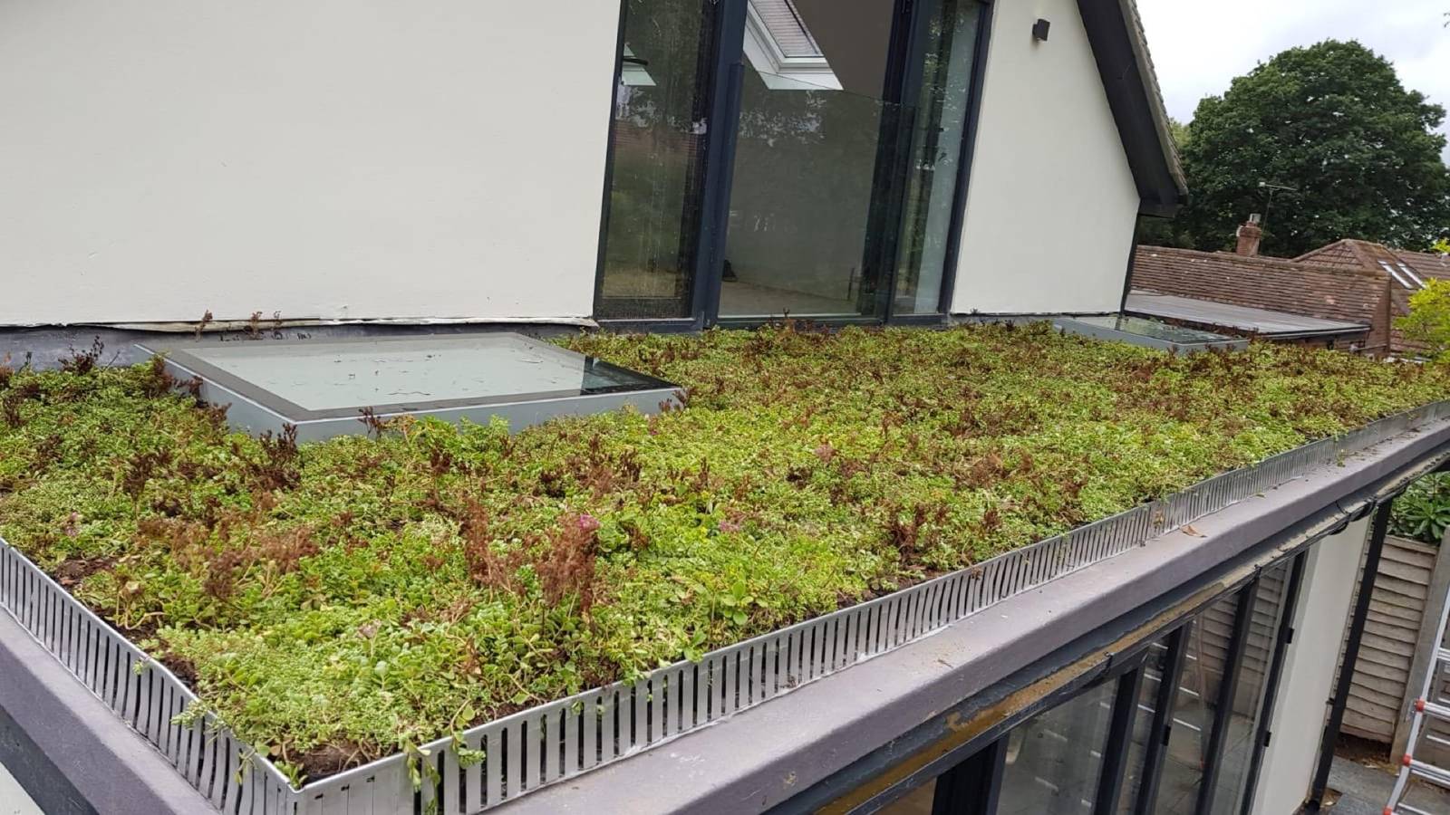 Green & Blue Roofs